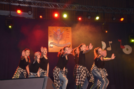 Dansmariekefestival_0815