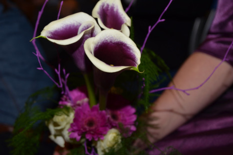 kuipzwammen 2014 485