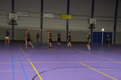 Bokkenballen toernooi 0861