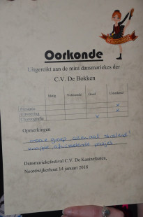 Dansmarieke festival_1913