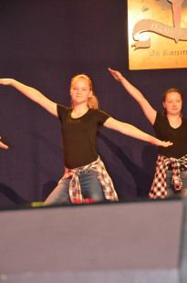 Dansmariekefestival_0828