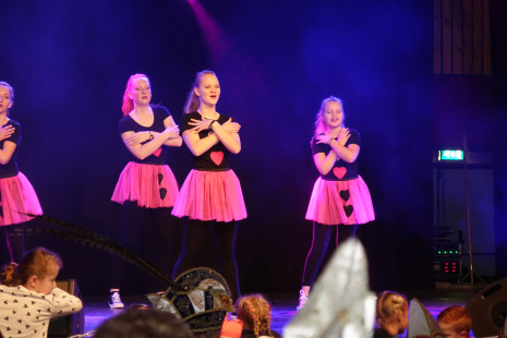 Dansmarieke festival 1193