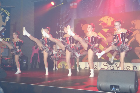 Jubileumfeest Saksen 1504