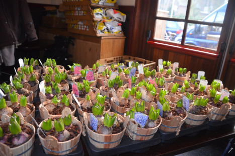 maandag overdag 2015 315